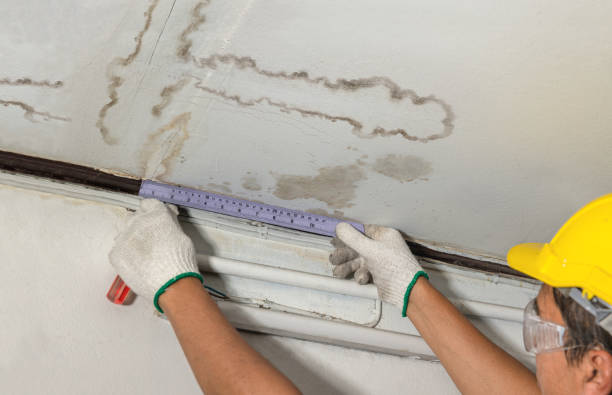 Reliable Water Extraction contractor in Black Mountain, NC by Water Damage Irwin
